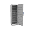 Plasma storage freezer f381