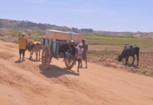 2019 CCEOP project in Madagascar